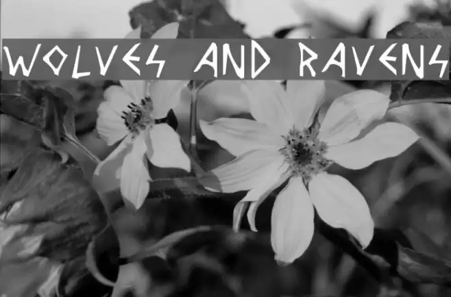 Wolves and Ravens Schriftart examples