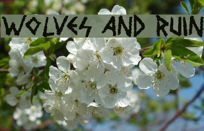 Wolves and Ruin Font examples