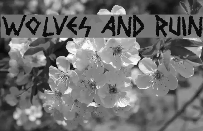 Wolves and Ruin फ़ॉन्ट examples