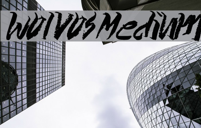 Wolvos-Medium Font examples