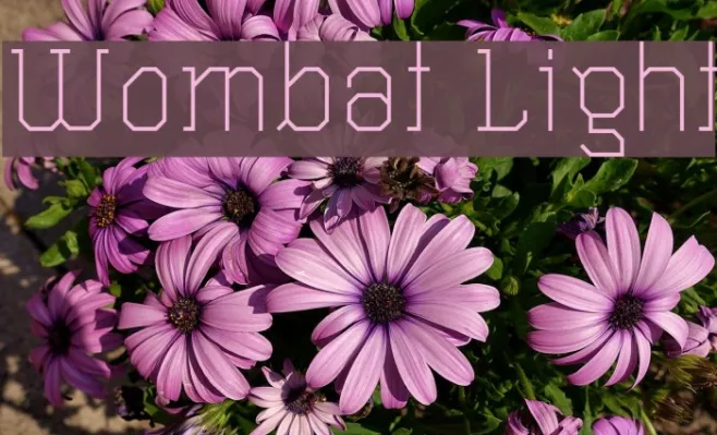 Wombat Light Example 1
