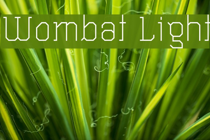 Wombat Light Font examples