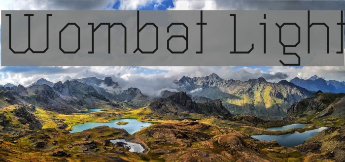 Wombat Light Font examples
