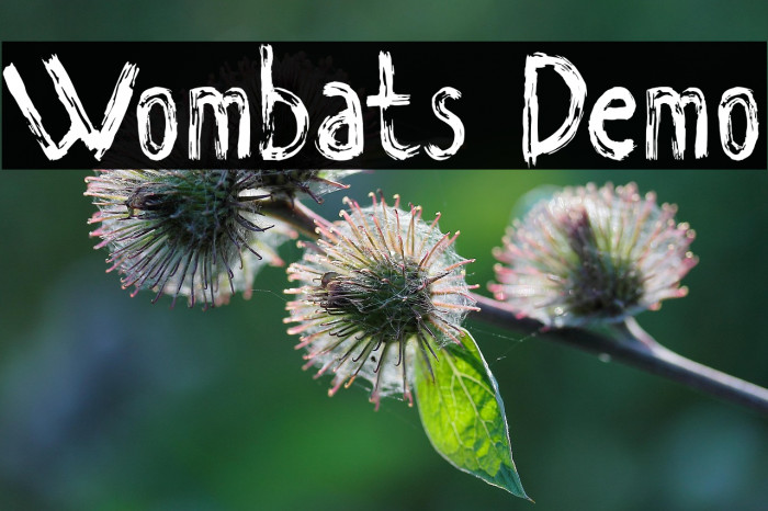 Wombats Demo Example 3