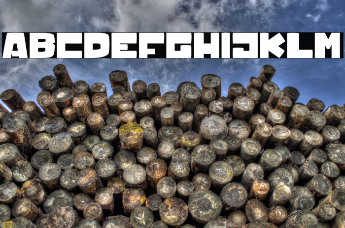 Wombats light_PersonalUseOnly Example 1