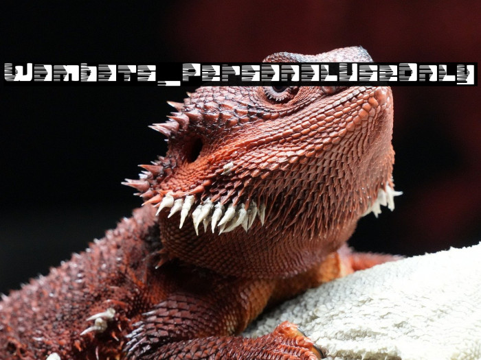 Wombats_PersonalUseOnly Example 1