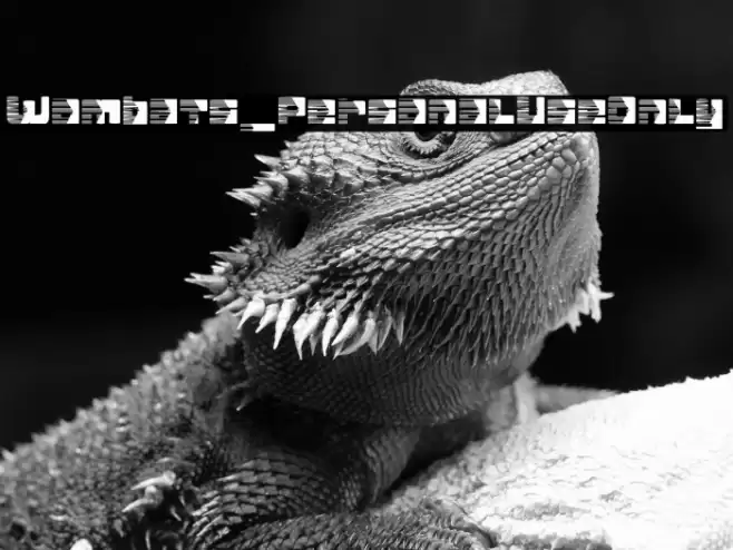 Wombats_PersonalUseOnly Font examples