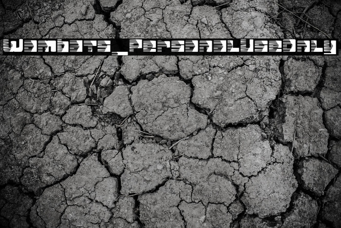 Wombats_PersonalUseOnly Example 2