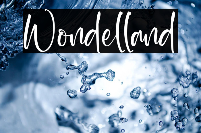 Wondelland Example 1