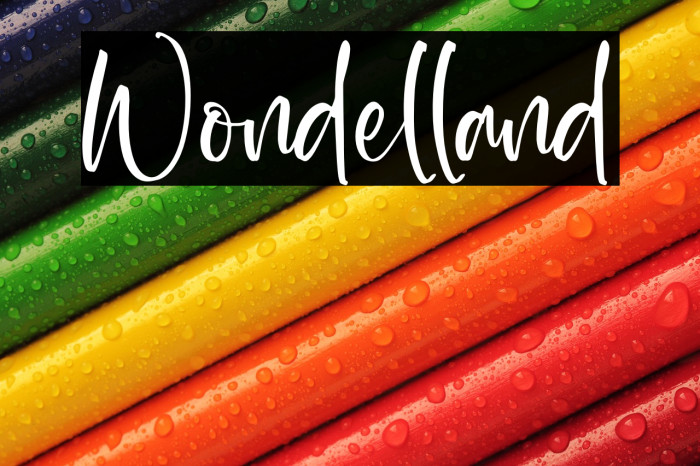 Wondelland Example 3