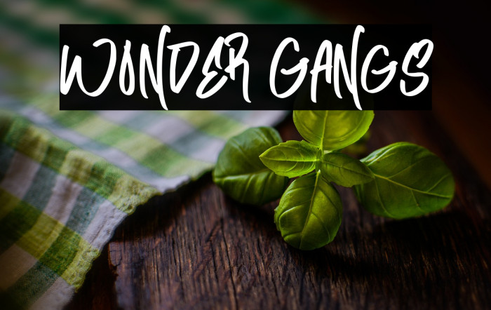 Wonder Gangs Example 1