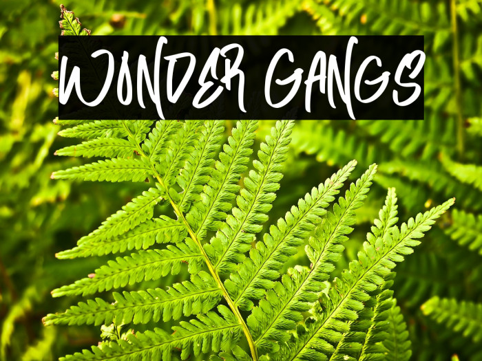 Wonder Gangs Example 3