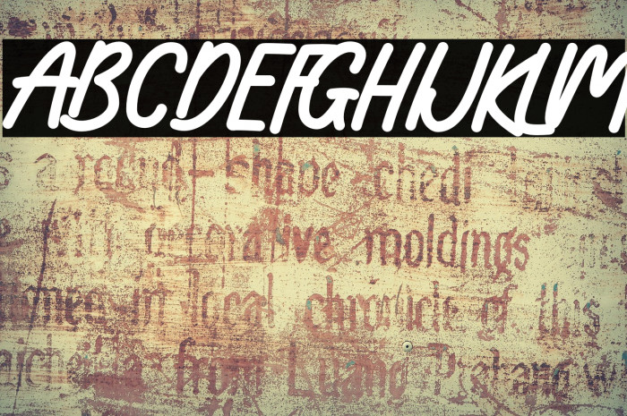 Wonder Kids Example 3