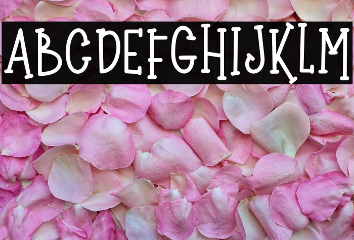 Wonder Knight Example 1