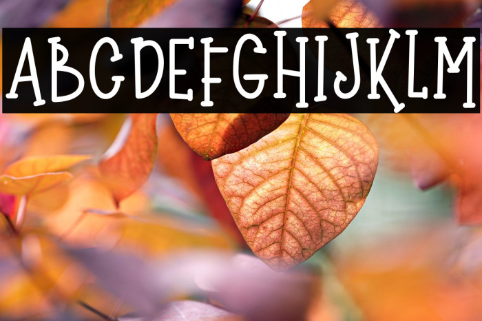 Wonder Knight Example 3