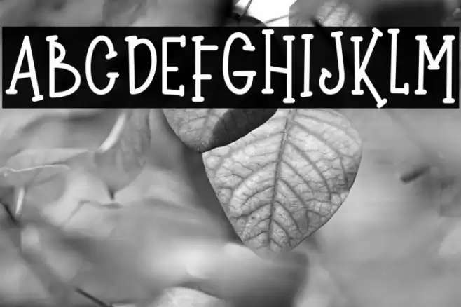 Wonder Knight Font examples