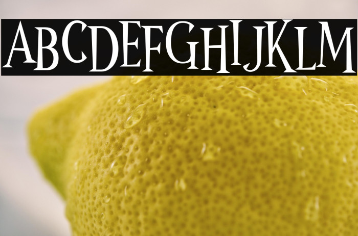 Wonder Night Example 1