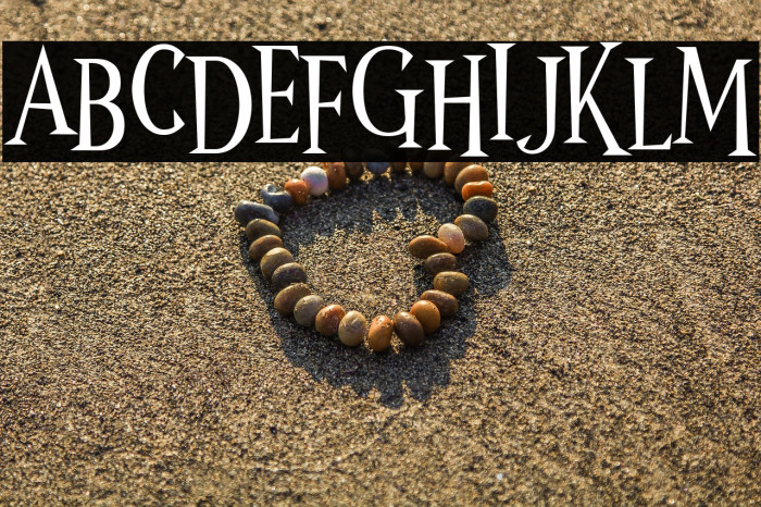 Wonder Night Example 3