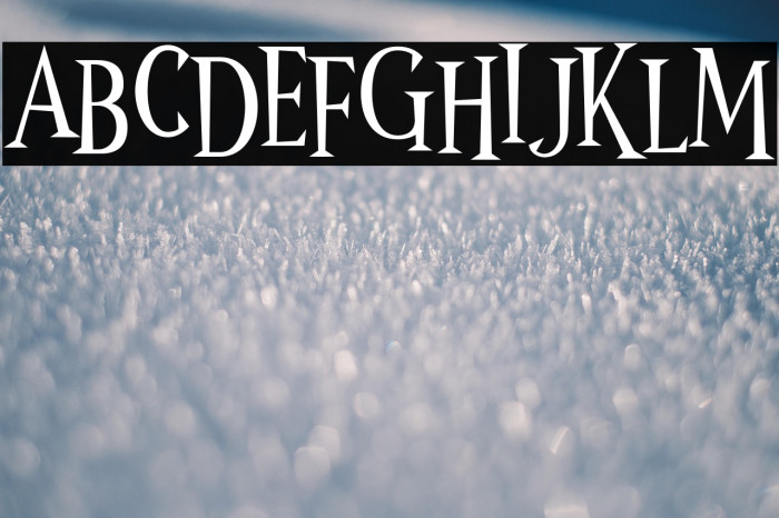 Wonder Night Example 2