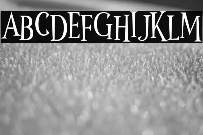 Wonder Night Font examples