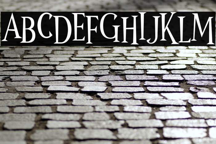 Wonder Night Example 3