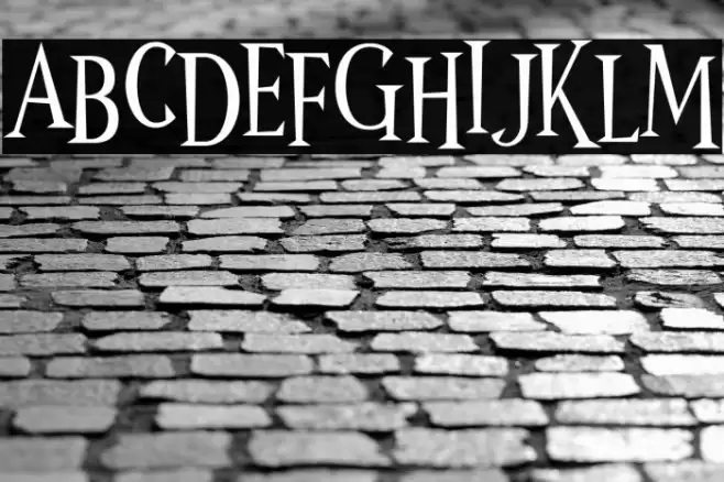 Wonder Night Font examples