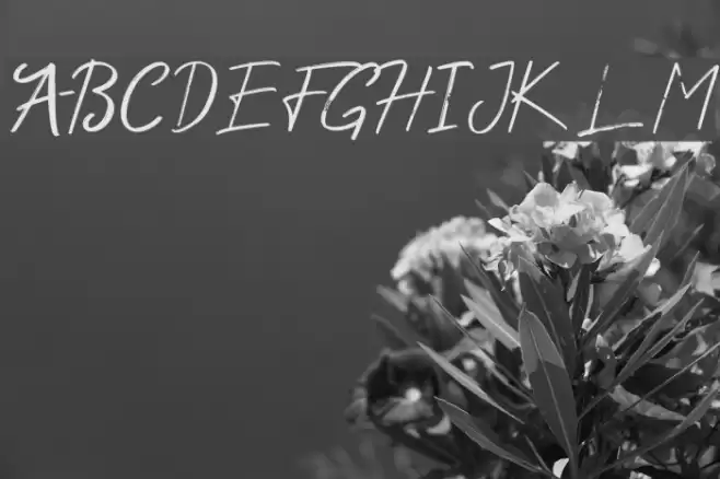 Wonder Scribble Font examples