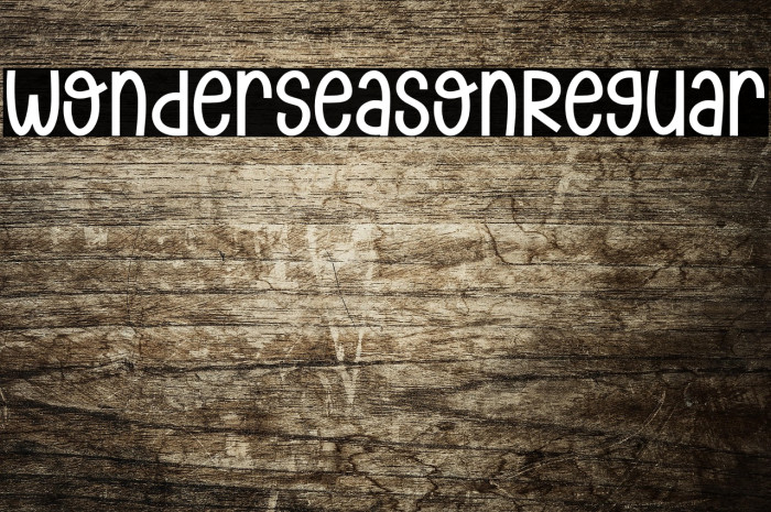 Wonder Season Regular Example 2