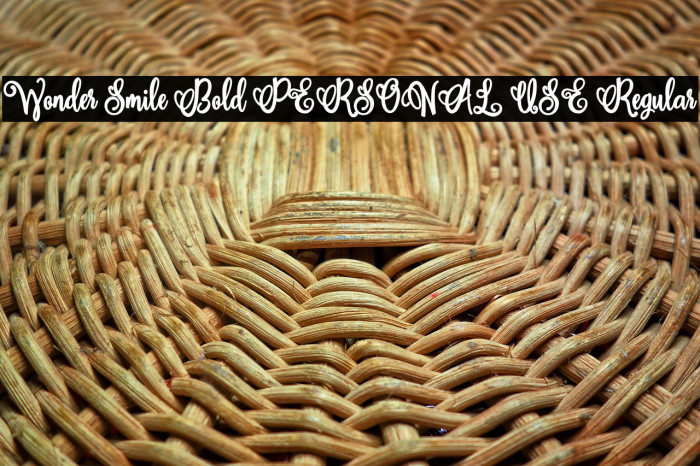 Wonder Smile Bold PERSONAL USE Regular Example 1