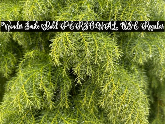 Wonder Smile Bold PERSONAL USE Regular Example 2