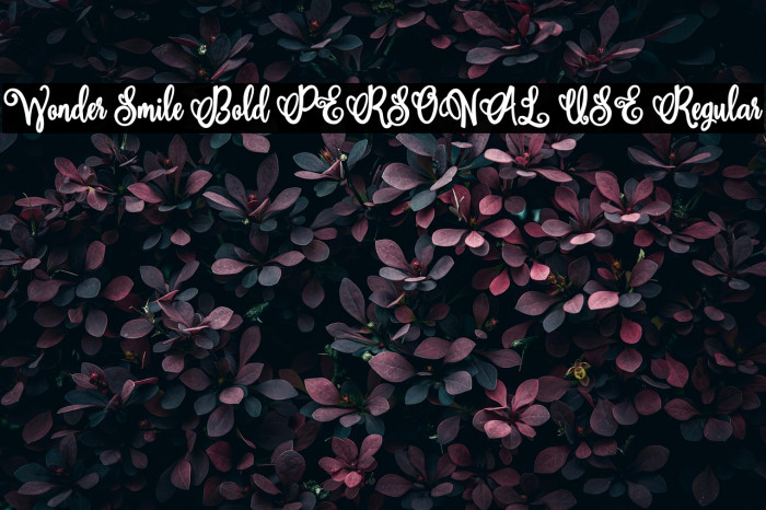Wonder Smile Bold PERSONAL USE Regular Example 3