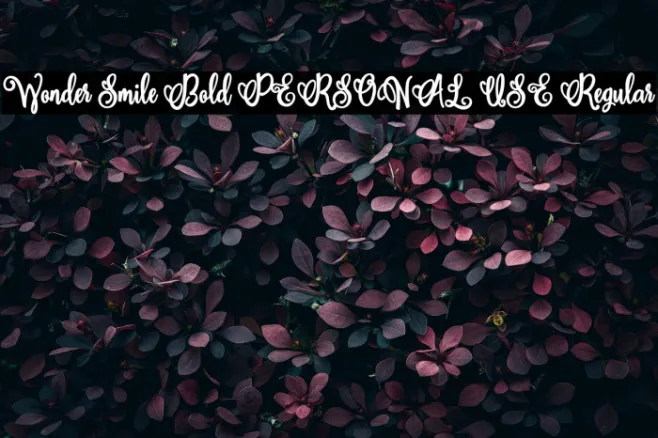 Wonder Smile Bold PERSONAL USE Regular Example 3