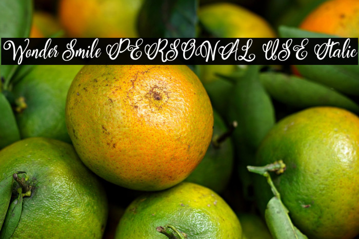Wonder Smile PERSONAL USE Italic Example 1