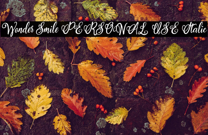 Wonder Smile PERSONAL USE Italic Example 3