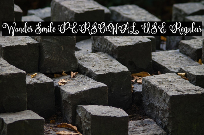 Wonder Smile PERSONAL USE Regular Example 3