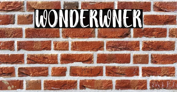 Wonder Winter Example 1