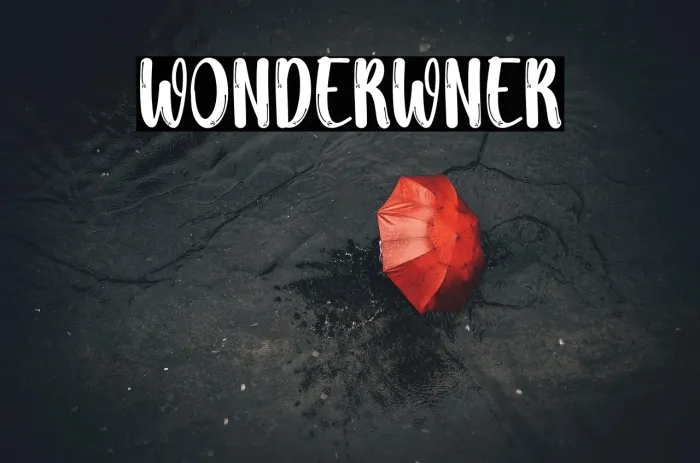 Wonder Winter Example 2