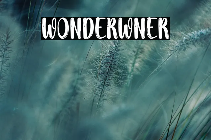 Wonder Winter Example 3