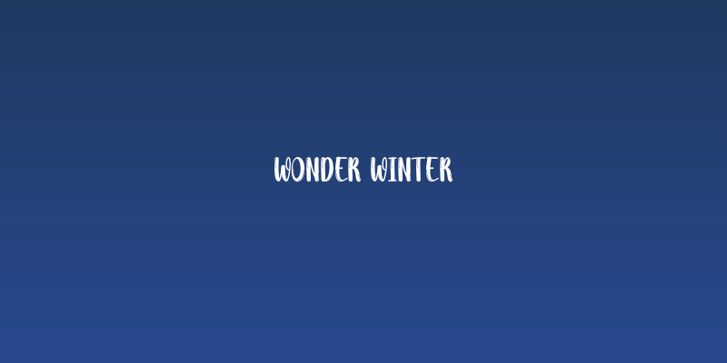 Wonder Winter Social Header