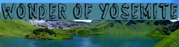 Wonder of Yosemite Polices examples