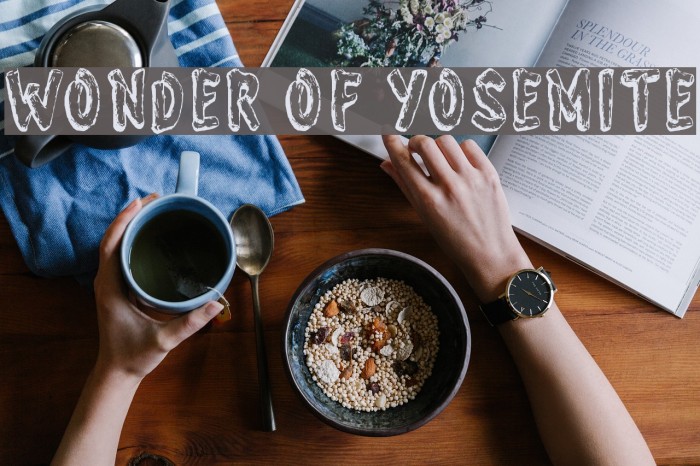 Wonder of Yosemite Polices examples