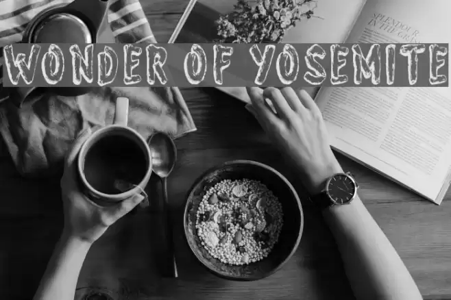 Wonder of Yosemite Polices examples