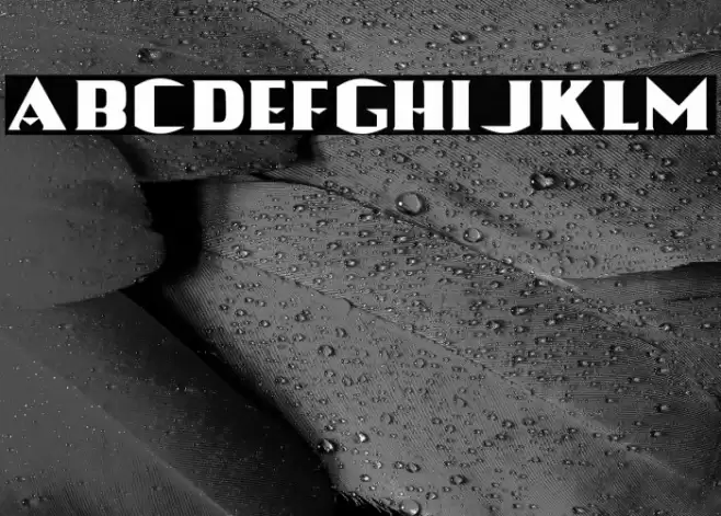 Wonder Font examples