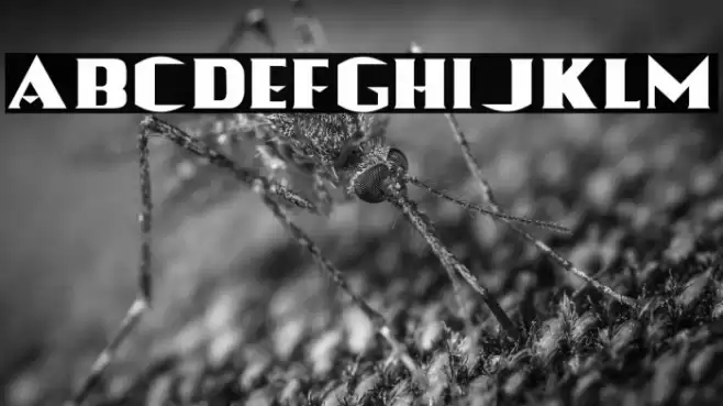 Wonder Font examples