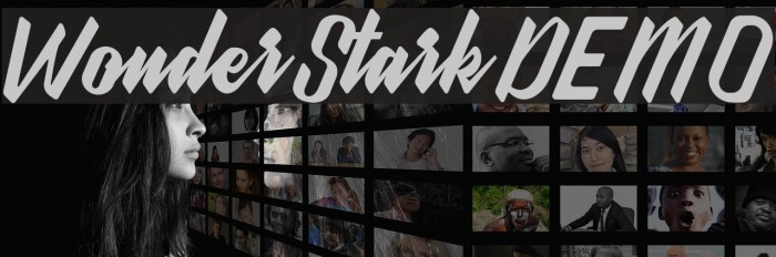 WonderStarkDEMO Example 1