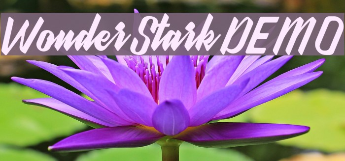 WonderStarkDEMO Example 3