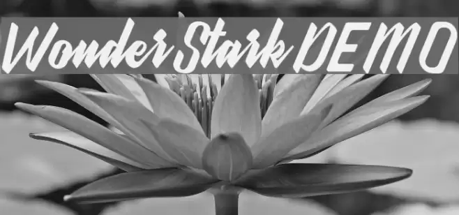 WonderStarkDEMO Font examples