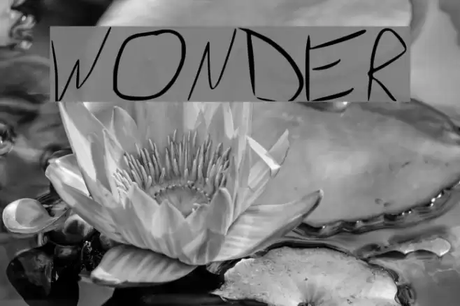 Wonder Font examples