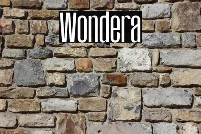 Wondera Example 2