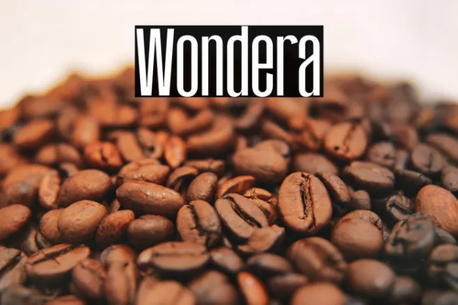 Wondera Example 3